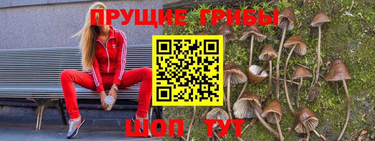 Псилоцибиновые грибы GOLDEN TEACHER  Вход с VPN  Галлюциногенные грибы мухоморы  Соль-Илецк 
