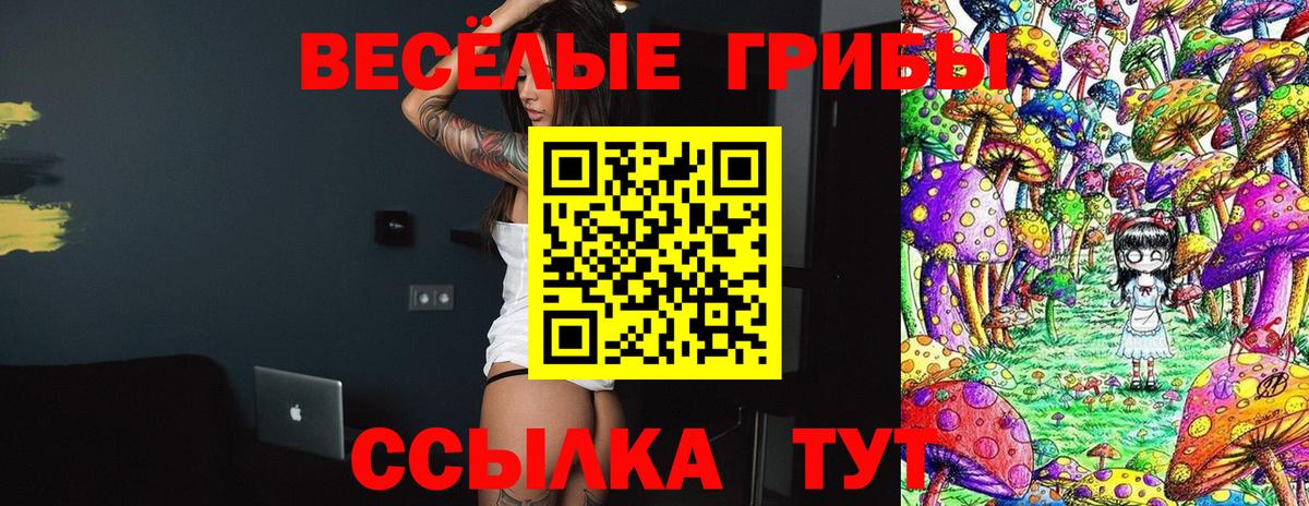 Галлюциногенные грибы GOLDEN TEACHER Соль-Илецк